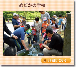 �߂����̊w�Z